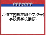 合作学挖机在哪个学校好(学挖机学校推荐)