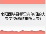南阳西峡县哪里有单招的大专学校(西峡单招大专)