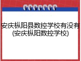 安庆枞阳县数控学校有没有(安庆枞阳数控学校)