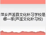 萍乡芦溪县文化补习学校是哪一家(芦溪文化补习校)