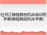 牡丹江穆棱数控机床培训班学费(穆棱数控机床学费)