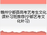赣州宁都县高考艺考生文化课补习班推荐(宁都艺考文化补习)