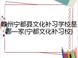 赣州宁都县文化补习学校是哪一家(宁都文化补习校)