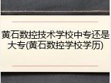 黄石数控技术学校中专还是大专(黄石数控学校学历)