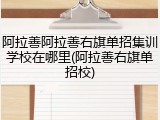 阿拉善阿拉善右旗单招集训学校在哪里(阿拉善右旗单招校)