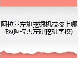 阿拉善左旗挖掘机技校上哪找(阿拉善左旗挖机学校)