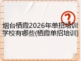 烟台栖霞2026年单招培训学校有哪些(栖霞单招培训)