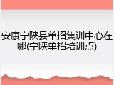 安康宁陕县单招集训中心在哪(宁陕单招培训点)