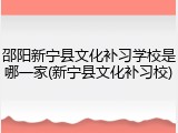 邵阳新宁县文化补习学校是哪一家(新宁县文化补习校)