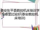泰安东平县数控机床培训学校哪里比较好(泰安数控机床培训)
