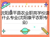 沈阳康平县农业职高学校读什么专业(沈阳康平农职专业)