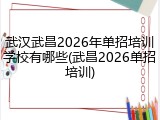 武汉武昌2026年单招培训学校有哪些(武昌2026单招培训)