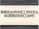 楚雄农业学校技工学校怎么样(楚雄农校技工如何)