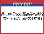铜仁碧江农业职高学校哪个专业好(碧江农校好专业)