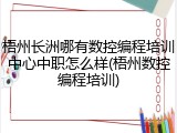 梧州长洲哪有数控编程培训中心中职怎么样(梧州数控编程培训)