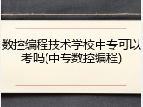 数控编程技术学校中专可以考吗(中专数控编程)