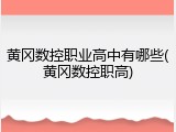 黄冈数控职业高中有哪些(黄冈数控职高)
