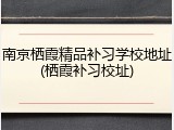 南京栖霞精品补习学校地址(栖霞补习校址)