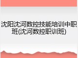 沈阳沈河数控技能培训中职班(沈河数控职训班)