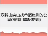 双鸭山尖山找单招集训的公司(双鸭山单招培训)