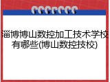 淄博博山数控加工技术学校有哪些(博山数控技校)