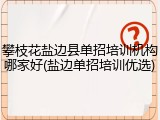 攀枝花盐边县单招培训机构哪家好(盐边单招培训优选)