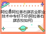 阿拉善阿拉善右旗农业职业技术中专好不好(阿拉善右旗农校如何)