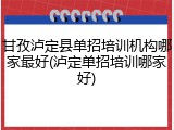 甘孜泸定县单招培训机构哪家最好(泸定单招培训哪家好)