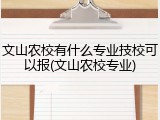 文山农校有什么专业技校可以报(文山农校专业)