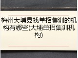 梅州大埔县找单招集训的机构有哪些(大埔单招集训机构)