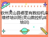 钦州灵山县哪里有数控机床维修培训班(灵山数控机床培训)
