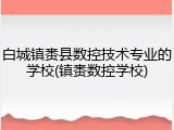 白城镇赉县数控技术专业的学校(镇赉数控学校)