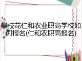 攀枝花仁和农业职高学校如何报名(仁和农职高报名)