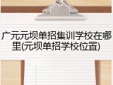 广元元坝单招集训学校在哪里(元坝单招学校位置)