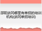 邵阳武冈哪里有单招的培训机构(武冈单招培训)