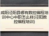咸阳泾阳县哪有数控编程培训中心中职怎么样(泾阳数控编程培训)