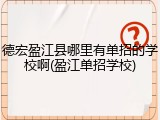 德宏盈江县哪里有单招的学校啊(盈江单招学校)