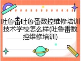 吐鲁番吐鲁番数控维修培训技术学校怎么样(吐鲁番数控维修培训)