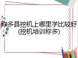 称多县挖机上哪里学比较好(挖机培训称多)