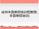 徐州丰县单招培训班推荐(丰县单招培训)