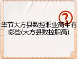 毕节大方县数控职业高中有哪些(大方县数控职高)