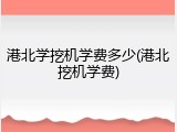 港北学挖机学费多少(港北挖机学费)