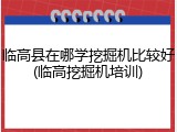 临高县在哪学挖掘机比较好(临高挖掘机培训)