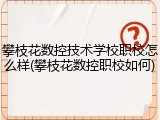 攀枝花数控技术学校职校怎么样(攀枝花数控职校如何)