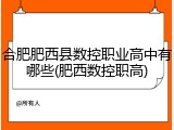 合肥肥西县数控职业高中有哪些(肥西数控职高)