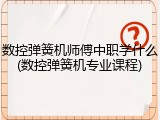 数控弹簧机师傅中职学什么(数控弹簧机专业课程)