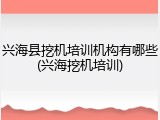 兴海县挖机培训机构有哪些(兴海挖机培训)