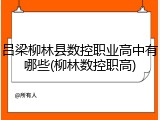 吕梁柳林县数控职业高中有哪些(柳林数控职高)