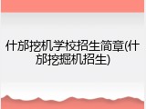 什邡挖机学校招生简章(什邡挖掘机招生)