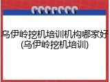 乌伊岭挖机培训机构哪家好(乌伊岭挖机培训)